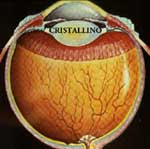 cristallino